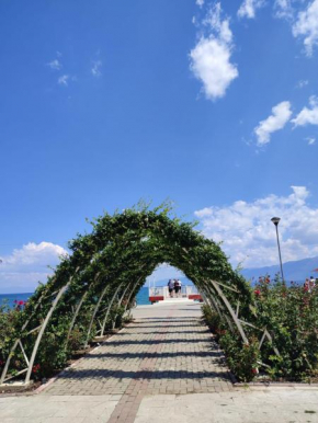 The village house, Pogradec